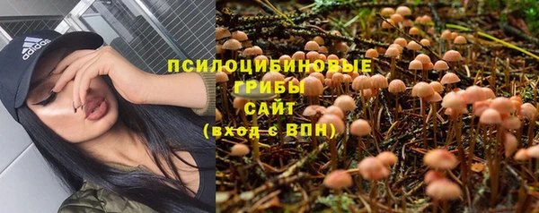 соль курить ск Зеленодольск